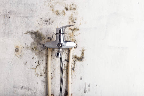 Best Mold Cleaning Services  in Miles, TX