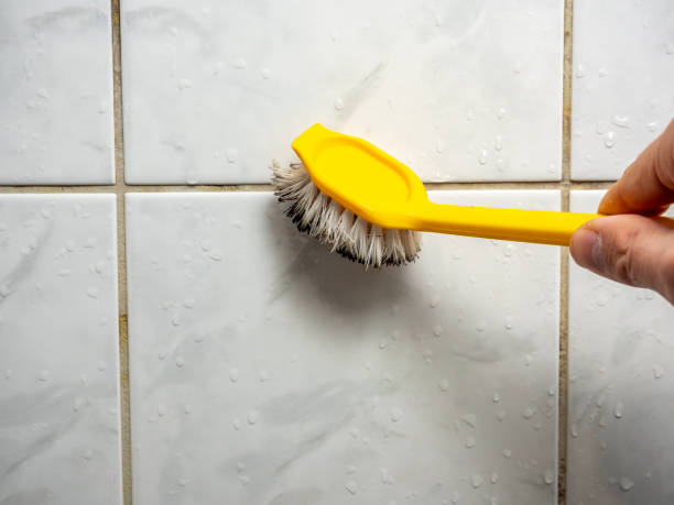 Best Commercial Mold Removal  in Miles, TX