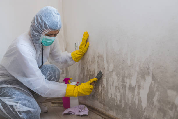 Best Residential Mold Removal  in Miles, TX