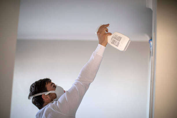 Best Crawl Space Mold Removal  in Miles, TX