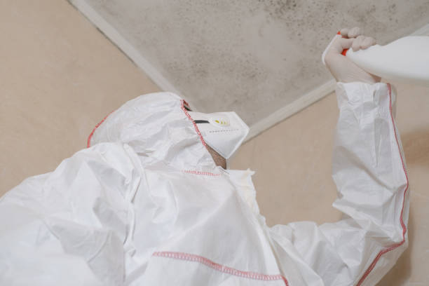 Best Office Mold Removal Services  in Miles, TX