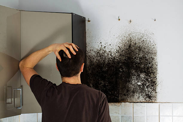 Best Mold Removal Near Me  in Miles, TX
